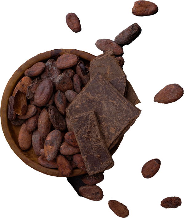 チョコレートとカカオ豆