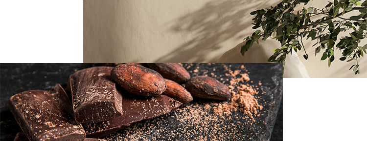 ビットコインチョコレートのイメージ